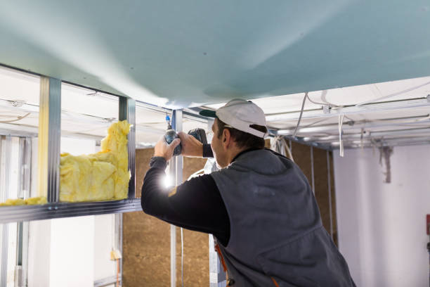 Best Insulation Installation Services in Lindon, UT