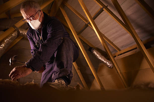 Best Insulation Installation Services in Lindon, UT